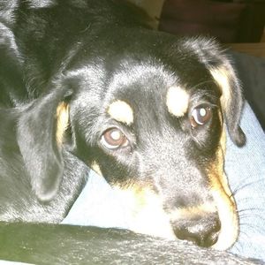 Meet your Posher, Keith